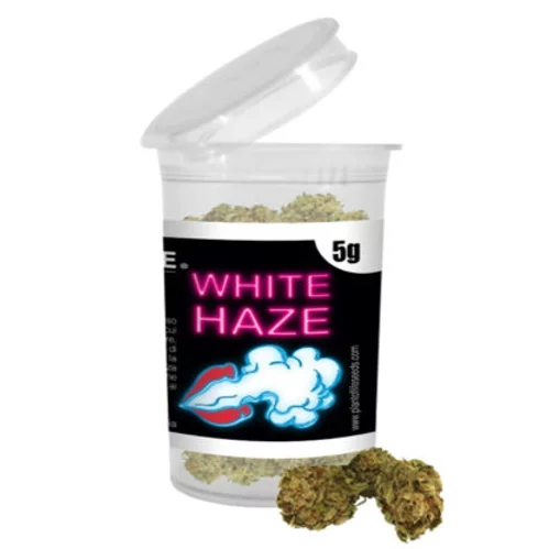 White Haze 5g